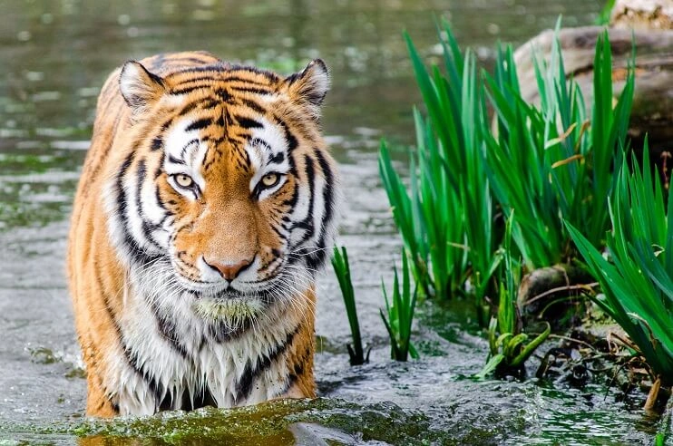 Panna National Park